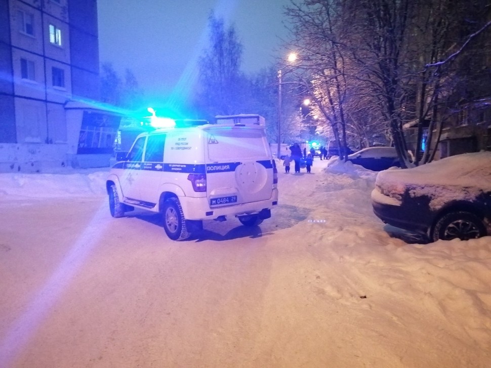 В Северодвинске для остановки пьяного водителя применили оружие